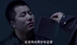 暴风刑警国语在线观看,在线观看，揭秘风暴中的正义之战